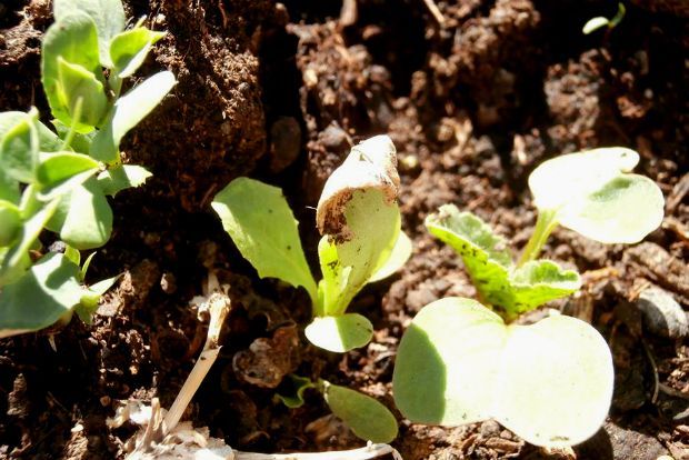 photo: Άντυ Παξινός