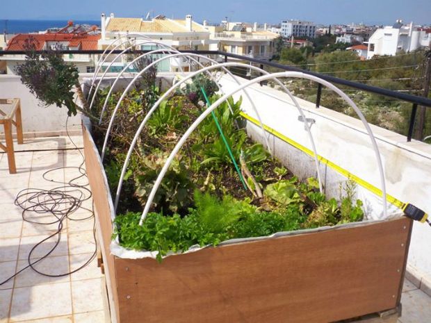 photo: Άντυ Παξινός