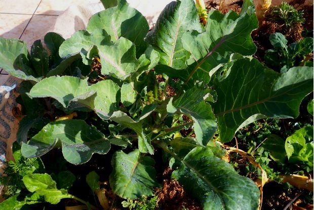 photo: Άντυ Παξινός