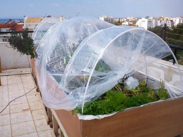 photo: Άντυ Παξινός