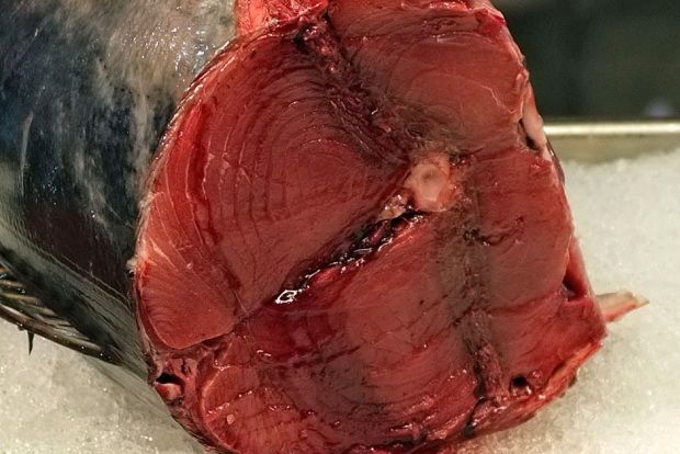 Ραγού τόνου, στην  Trattoria Piccolo Napoli στο Παλέρμο της Σικελίας (φωτογραφία Νίκου Μορόπουλου)