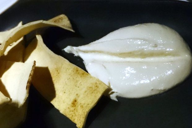 «Πανορμίτης» Παραλία Μαραθώνα - Χταπόδι στην κατσαρόλα, [photo: Νίκος Μορόπουλος]