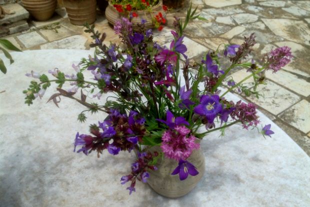 Ορχιδέες, καμπανούλες, φασκόμηλο, γλαδιόλες