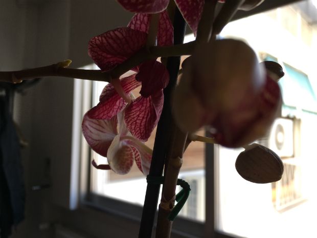 photo: Στέλλα Αλαφούζου