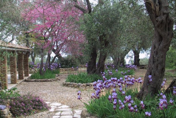 Πλακόστρωτο με κοινές πέτρες του κήπου