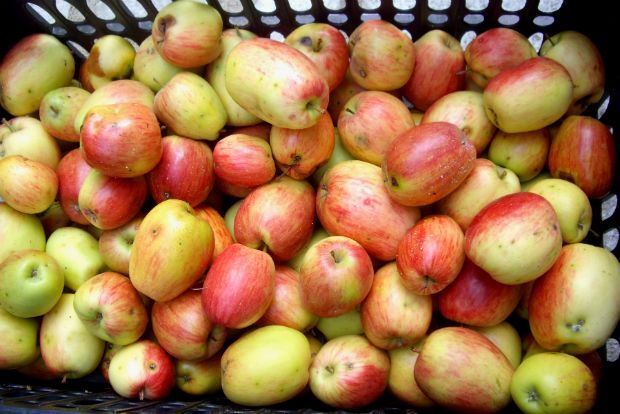 photo: Φιλάρετος Ψημμένος