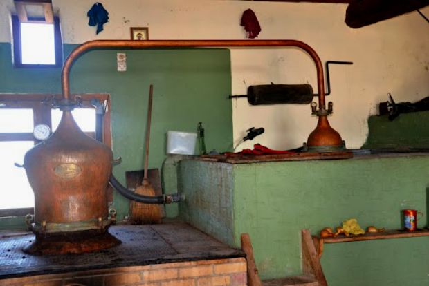 Το ρακιδιό του Κατσαγρύλα