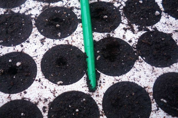 photo: Άντυ Παξινός