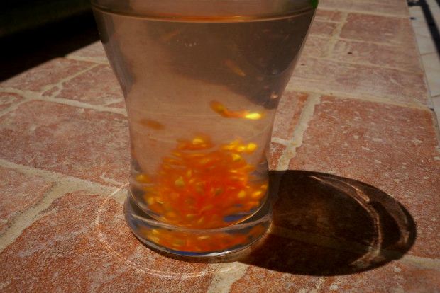 φωτό: Άντυ Παξινός