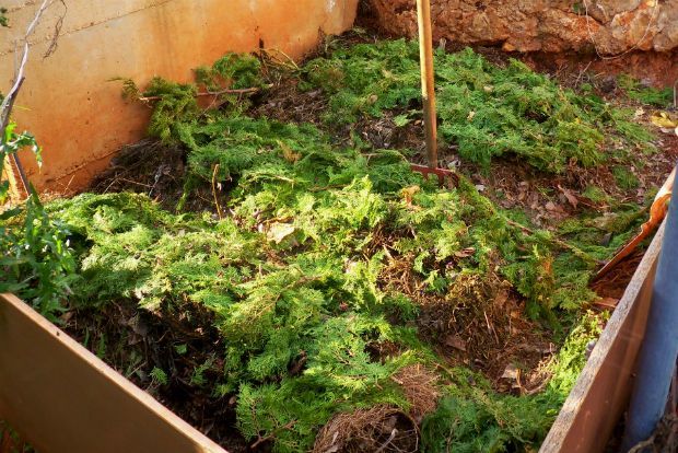 photo: Άντυ Παξινός