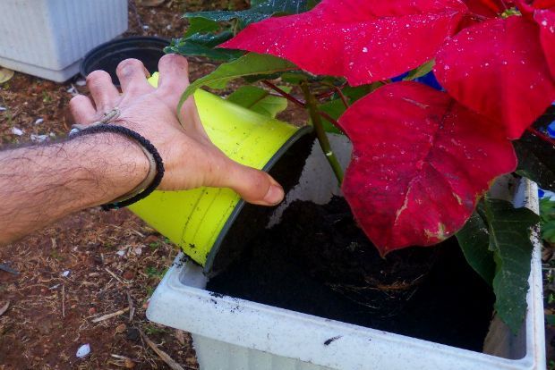 photo: Άντυ Παξινός