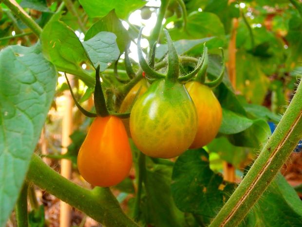 photo: Άντυ Παξινός