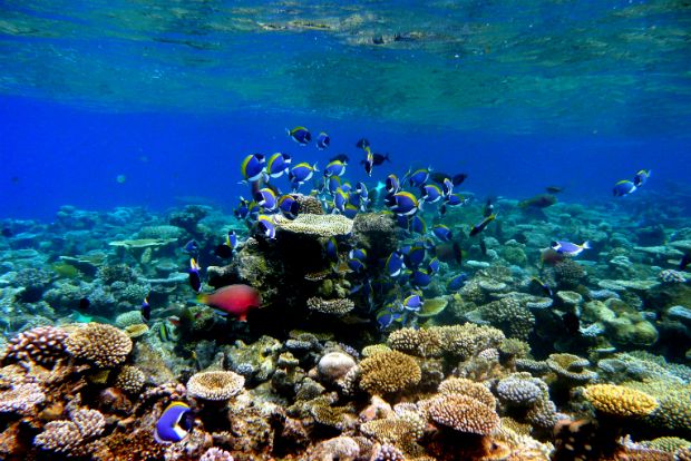 Keeling Islands, en.wikipedia.org