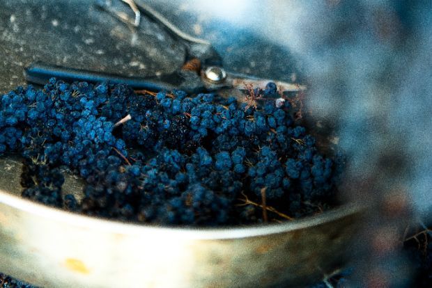 Παλιές σταφιδαποθήκες στην παραλία του Αιγίου