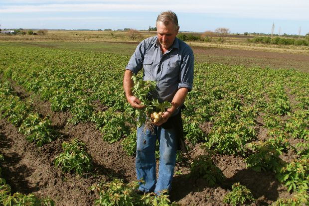 Photo: Planttreaty/Flickr