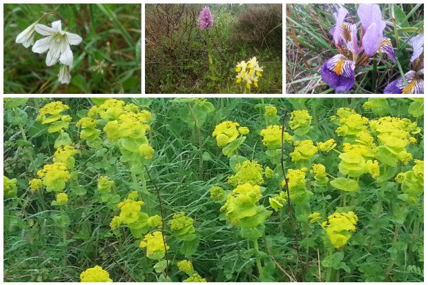 photo: Εύα Παρακεντάκη