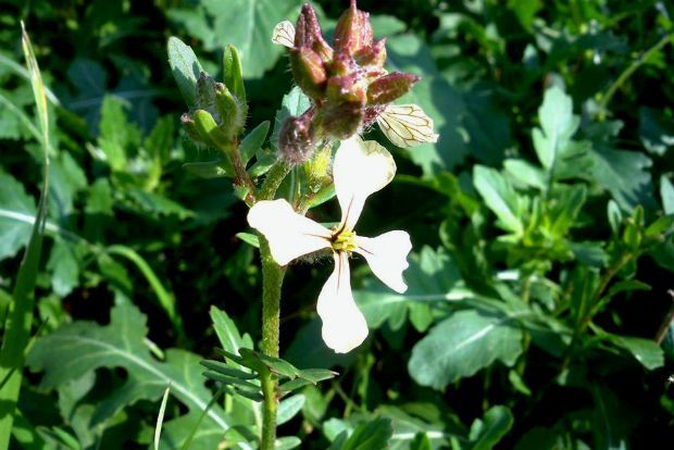 photo: Άντυ Παξινός