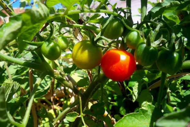 photo: Άντυ Παξινός