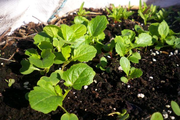 photo: Άντυ Παξινός