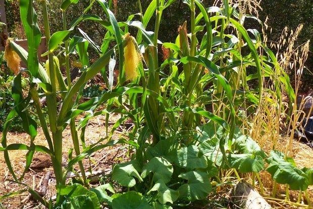 photo: Άντυ Παξινός