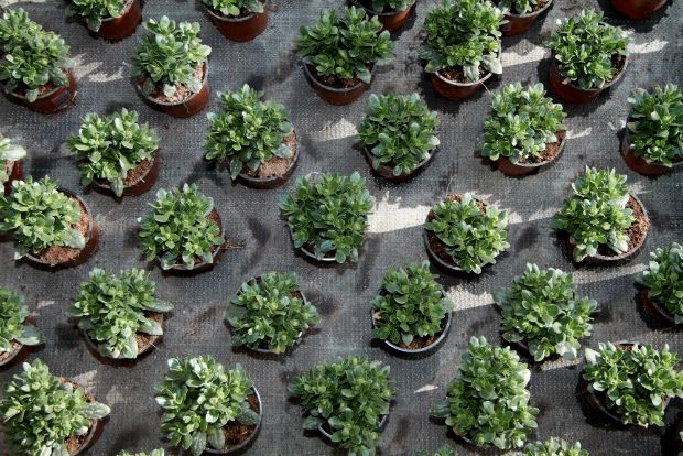 Photo: lekkertje.blogspot.gr