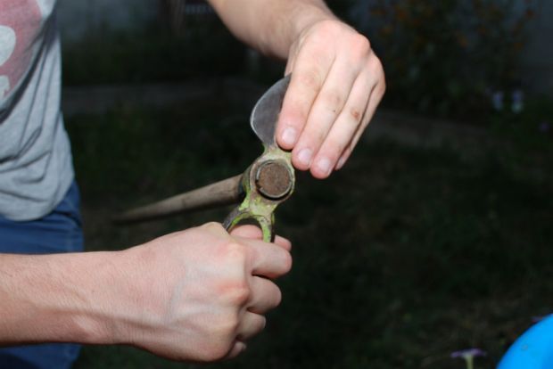 Photo: gardenista.com