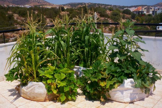 photo: Άντυ Παξινός