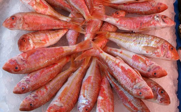 Photo: Μορόπουλος Νίκος