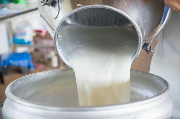 Φιλτράροντας το νερό τα στρείδια συσσωρεύουν στο σώμα τους και βακτήρια [Charles Haynes / Flickr]