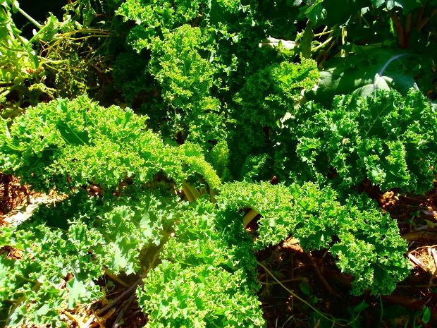 photo: Άντυ Παξινός