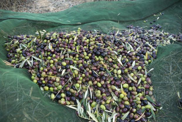 Photo: cretazine.com