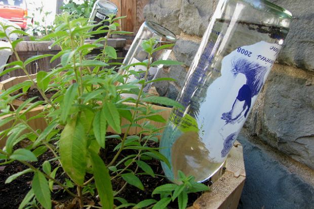 Photo: apartmenttherapy.com