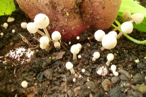 photo: Άντυ Παξινός