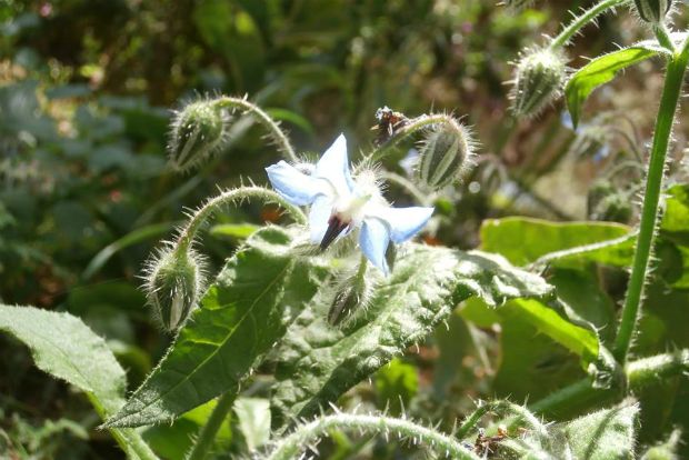 photo: Άντυ Παξινός