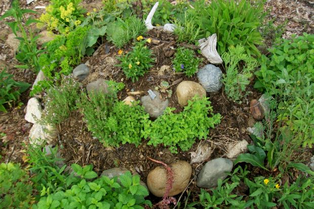 photo: Άντυ Παξινός