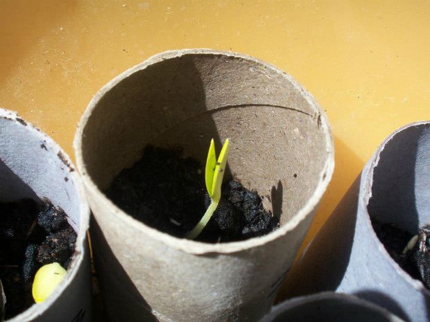 photo: Άντυ Παξινός