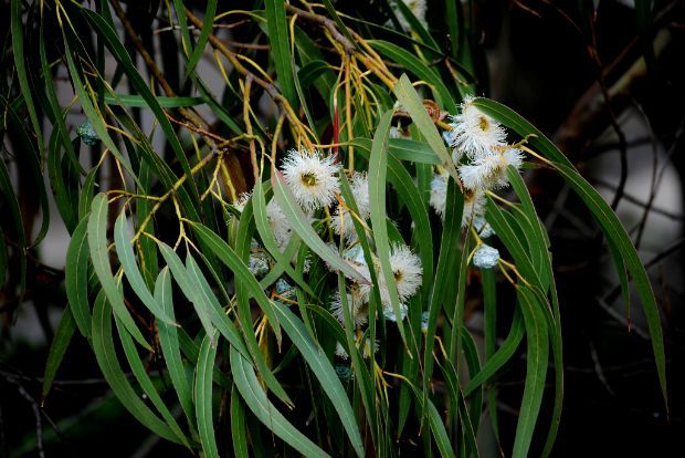 Photo: rix_photostream@Flickr