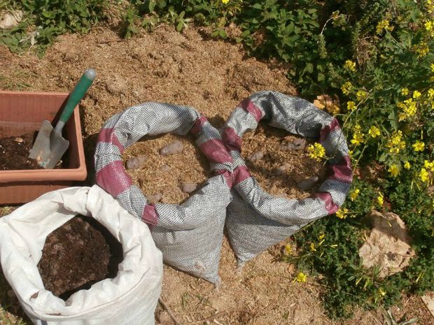 photo: Άντυ Παξινός