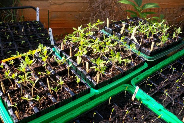 photo: Άντυ Παξινός