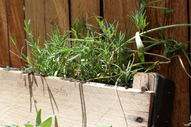 Photo: onehundreddollarsamonth.com