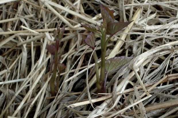 Photo: fayncbikerjaa@Flickr