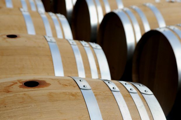 Φωτο: Έβελυν Φώσκολου