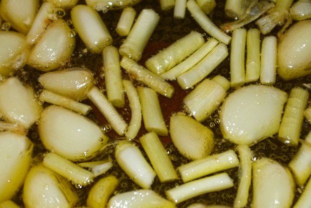 Photo: Μορόπουλος Νίκος