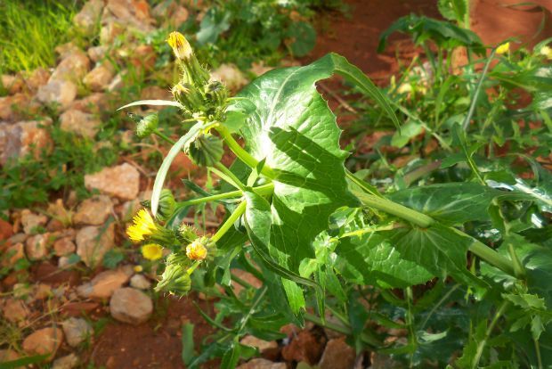 photo: Άντυ Παξινός