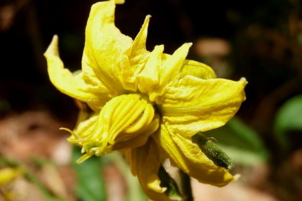 photo: Άντυ Παξινός