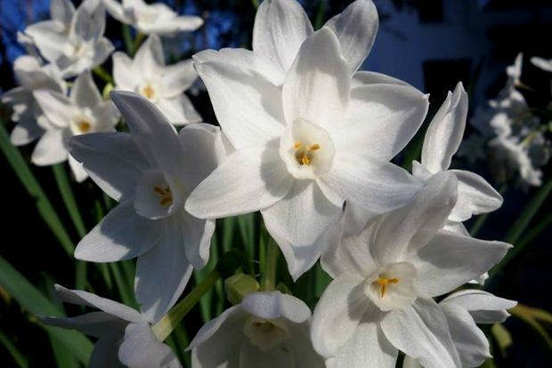 photo: Άντυ Παξινός