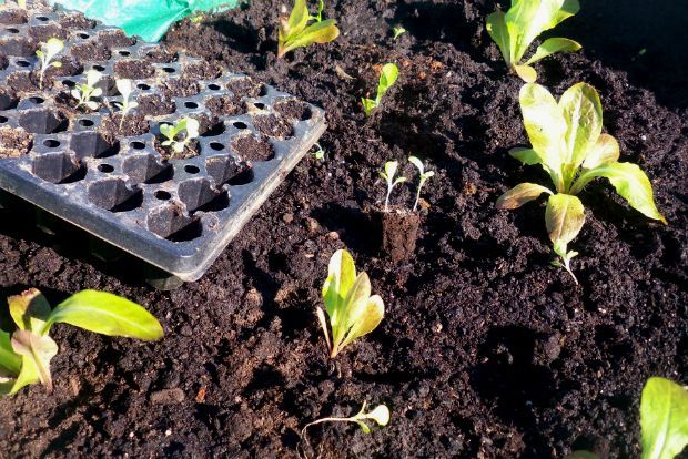 photo: Άντυ Παξινός