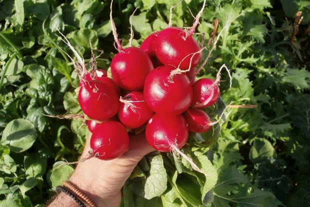 photo: Άντυ Παξινός