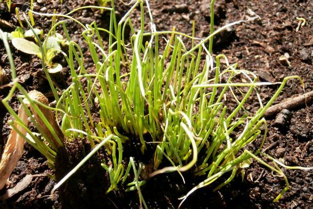 photo: Άντυ Παξινός