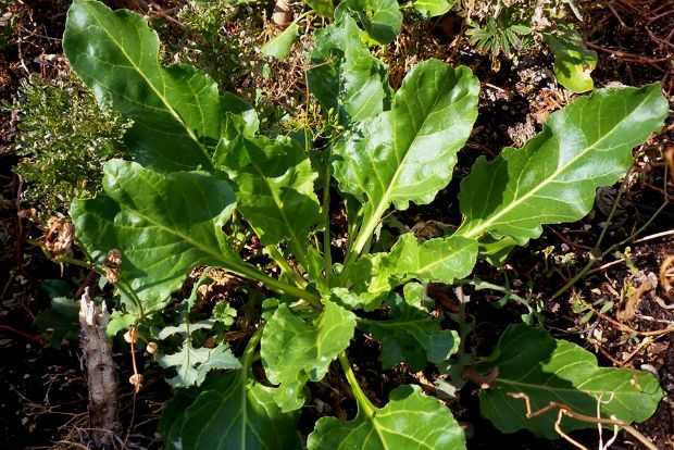 photo: Άντυ Παξινός